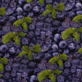 Baumwolle Druck Swafing Yummy Food Heidelbeeren